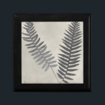 Vintage Ferns Cadeaudoosje<br><div class="desc">Fern-studie III van Vision Studio. Biedt twee uitziende veertjes tegen een antiek achtergrond.</div>