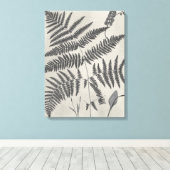 Vintage Ferns Canvas Afdruk (Insitu (Houten vloer))