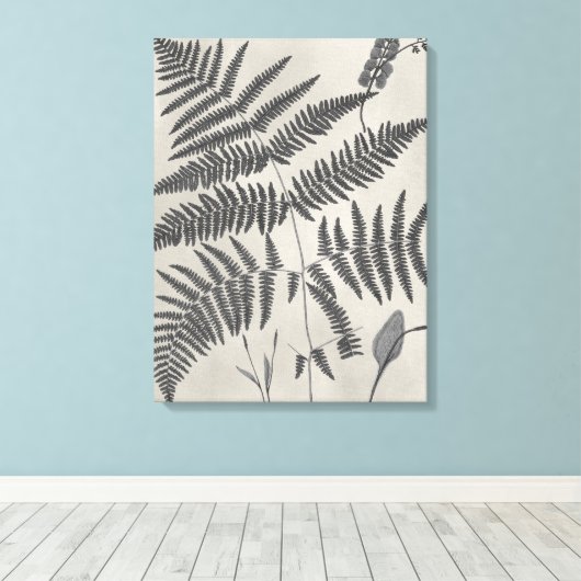 Vintage Ferns Canvas Afdruk (Insitu (Houten vloer))