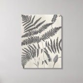 Vintage Ferns Canvas Afdruk (Voorkant)