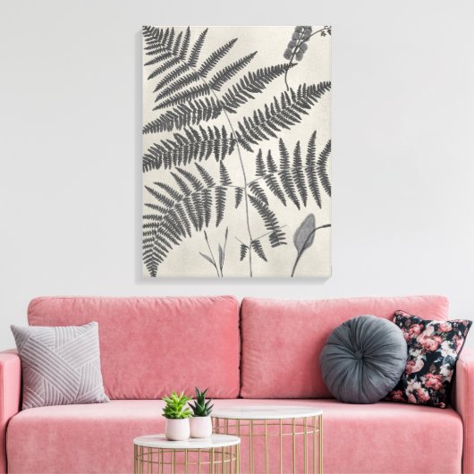 Vintage Ferns Canvas Afdruk (Insitu (Woonkamer))