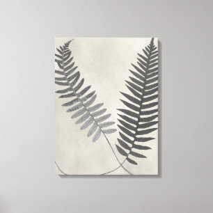 Vintage Ferns Canvas Afdruk