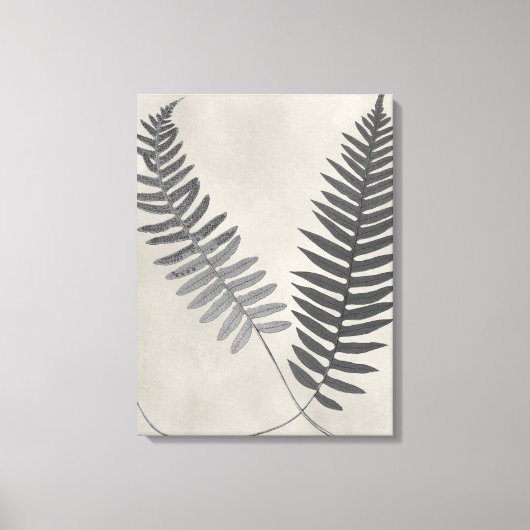 Vintage Ferns Canvas Afdruk (Voorkant)