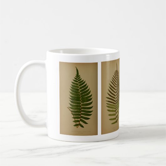 Vintage Ferns Koffiemok (Links)