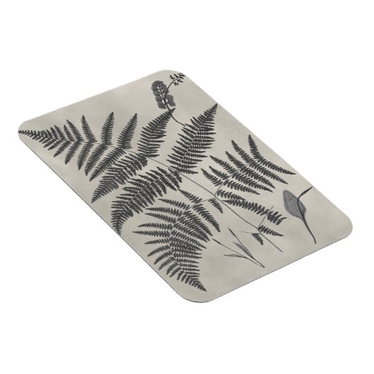 Vintage Ferns Magneet (Rechterzijde)