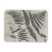 Vintage Ferns Magneet (Horizontaal)