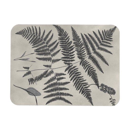 Vintage Ferns Magneet (Horizontaal)