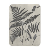 Vintage Ferns Magneet (Verticaal)