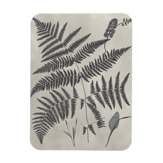 Vintage Ferns Magneet (Verticaal)