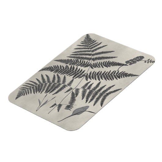 Vintage Ferns Magneet (Linkerzijde)