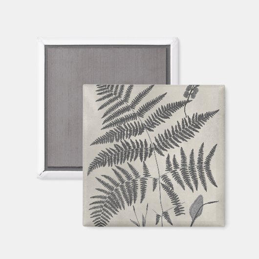 Vintage Ferns Magneet (Voorkant / Achterkant)