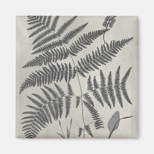 Vintage Ferns Magneet
