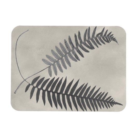 Vintage Ferns Magneet (Horizontaal)