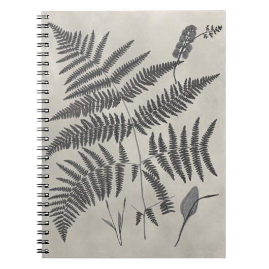 Vintage Ferns Notitieboek (Voorkant)