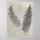 Vintage Ferns Poster (Voorkant)