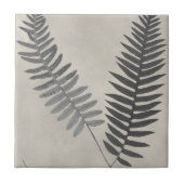 Vintage Ferns Tegeltje (Voorkant)