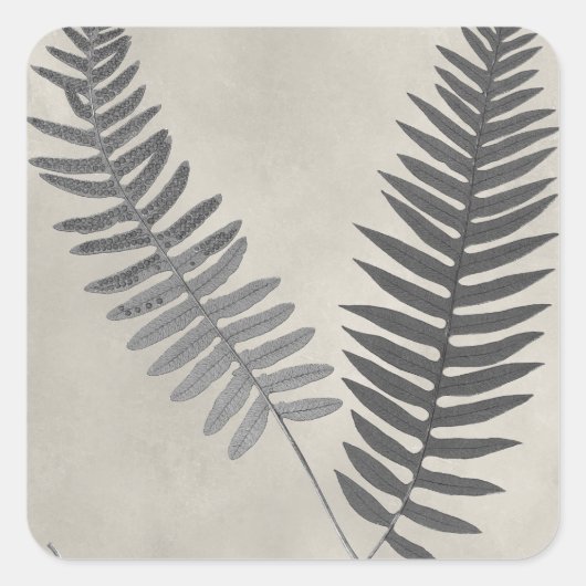 Vintage Ferns Vierkante Sticker (Voorkant)