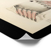 Vintage Fish Anatomy Print (Hoek)