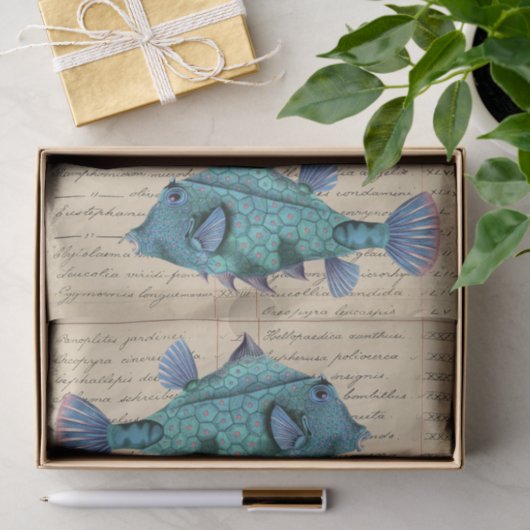 Vintage Fish decoupage Tissuepapier (Geschenk)