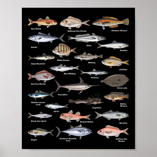 Vintage Fish Identification Chart Fishing  Poster (Voorkant)
