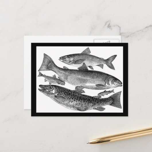 Vintage Fish Print Briefkaart (Voorkant / Achterkant in situ)