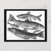 Vintage Fish Print Briefkaart (Voorkant)