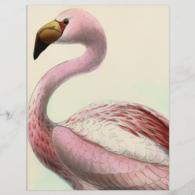 Vintage Flamingo Briefhoofd (Voorkant)