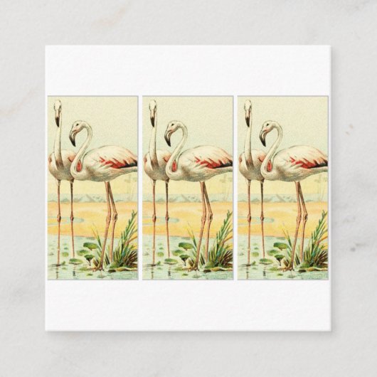 Vintage Flamingo Informatiekaartje (Voorkant)