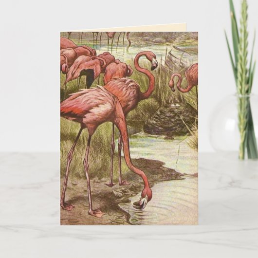 Vintage Flamingo Moederdagkaart Kaart (Voorkant)