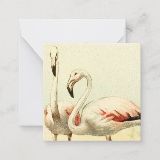 Vintage Flamingo Notitiekaartje (Voorkant)