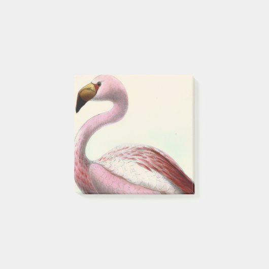 Vintage Flamingo Post-it® Notes (Voorkant)