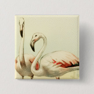 Vintage Flamingo Vierkante Button 5,1 Cm