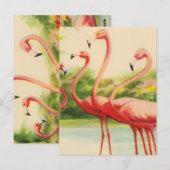 Vintage Flamingo's Briefkaart (Voorkant / Achterkant)