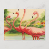Vintage Flamingo's Briefkaart (Achterkant)