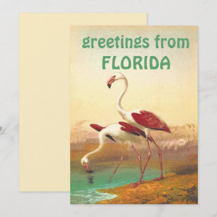 Vintage Flamingo's Groeten uit Florida Reizen  Kaart