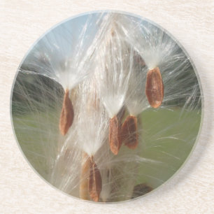 Vintage Flora en Fauna Milkweeds Drijvend.jpg Zandsteen Onderzetter