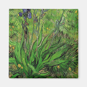 Vintage floral garden flower Iris by Van Gogh. Magneet