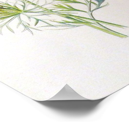 Vintage Floral Poster (Hoek)