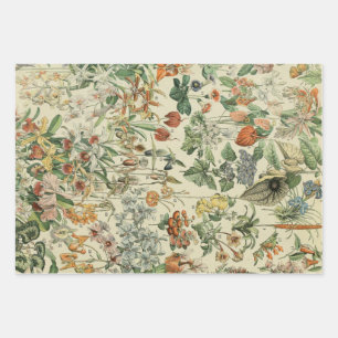 Vintage Floral Rustic Elegant botanisch Inpakpapier Vel