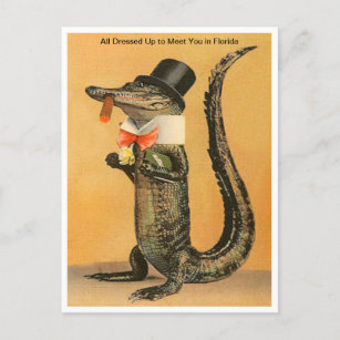 Vintage Florida Alligator drukte reizen op Briefkaart