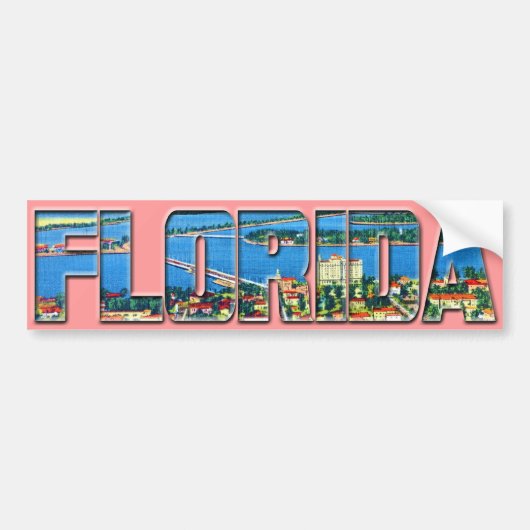 Vintage Florida Bumpersticker (Voorkant)