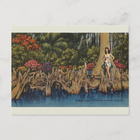Vintage Florida Cypress Gardens Briefkaart (Voorkant)