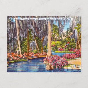 Vintage Florida Cypress Gardens Travel Briefkaart