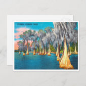 Vintage Florida Cypress Trees Travel Briefkaart (Voorkant / Achterkant)