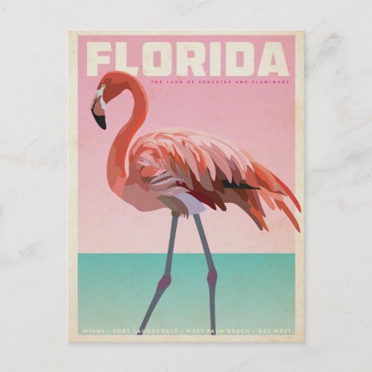 Vintage florida flamigo travel postcard briefkaart (Voorkant)