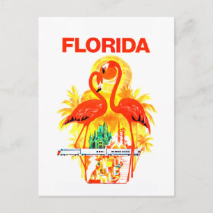 Vintage Florida Flamingos Travel Briefkaart