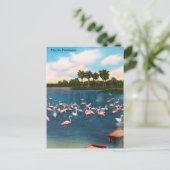 Vintage Florida Flamingos Travel Briefkaart (Staand voorkant)