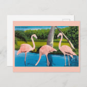 Vintage Florida Flamingos Travel Briefkaart (Voorkant / Achterkant)