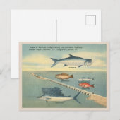 Vintage Florida Keys Vist Briefkaart (Voorkant / Achterkant)