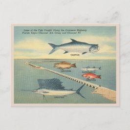 Vintage Florida Keys Vist Briefkaart